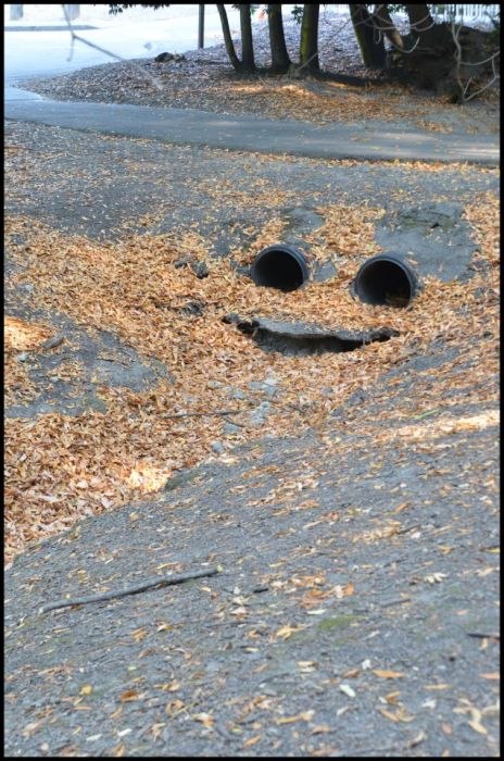 Илья Леонтьевский | Самара