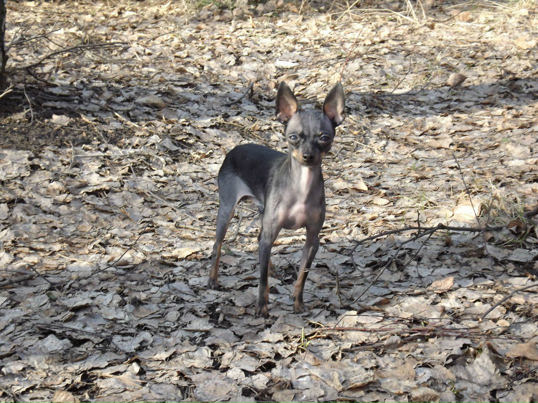 Валерия Жаботинская | Краснодар