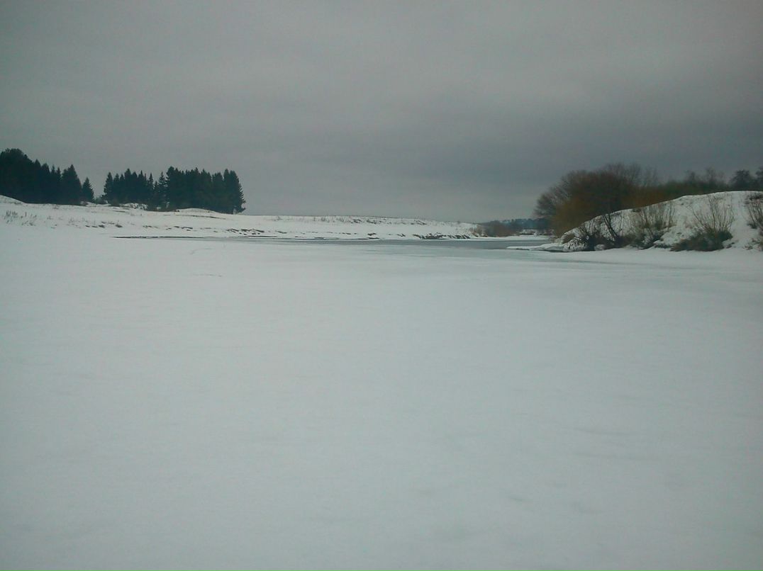 Сергей Вшивцев | Орда