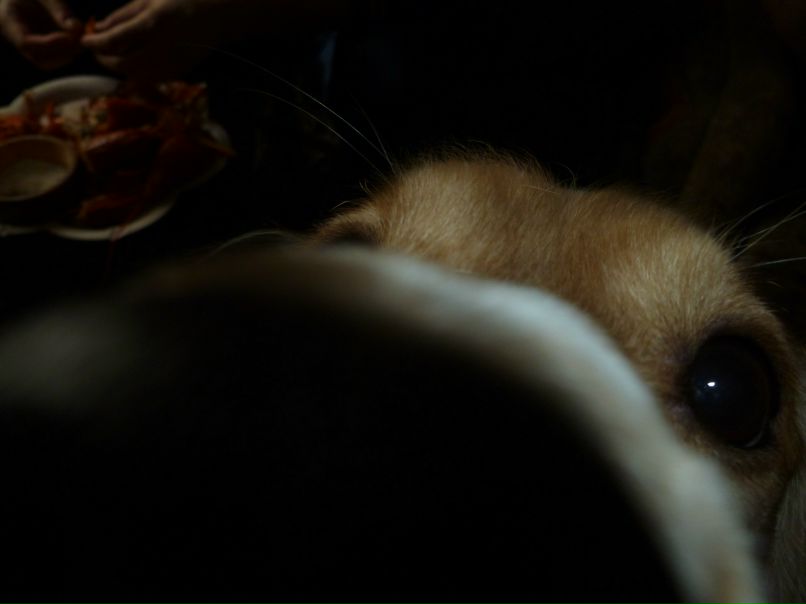 Илья Шибаев Вадимович | Карасук