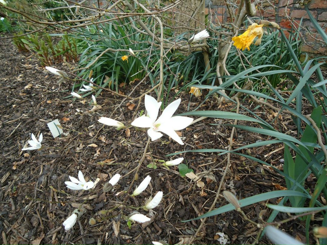 Алексей Пронин student | Минск
