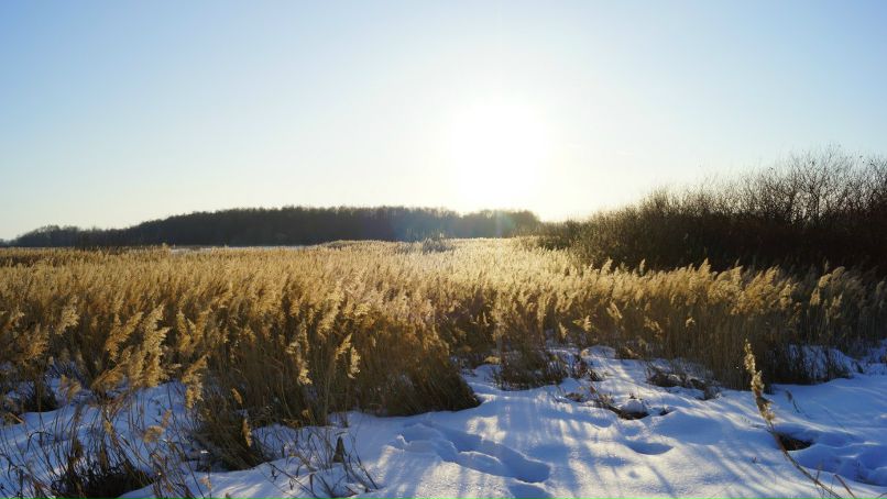 Иринка Удалова | Уральск