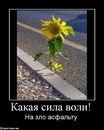 №2 Саша Кротков : профиль, фото, статус - ВКонтакте №2 Саша Кротков : профиль, фото, статус - ВКонтакте
