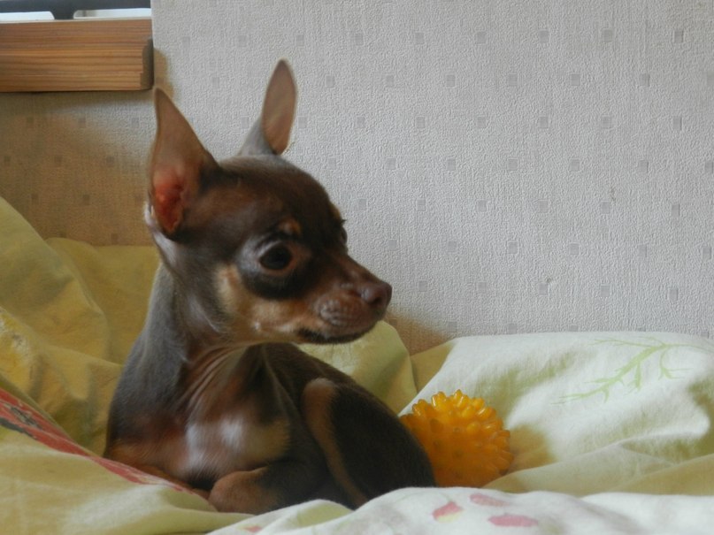 Ирина Николаенко | Киев