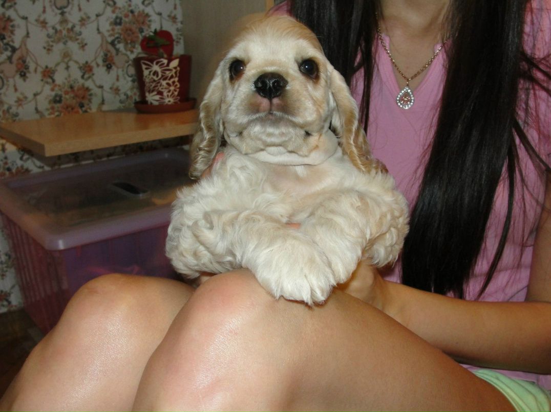 Виктория Кудрявцева | Сочи