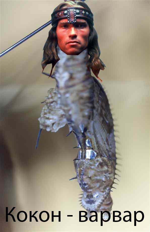 Александр Лиховцов | Кемерово