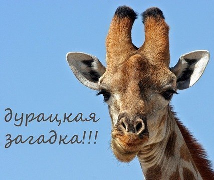 №23, Денис Павлов, 36 лет, Смоленск №23, Денис Павлов, 36 лет, Смоленск