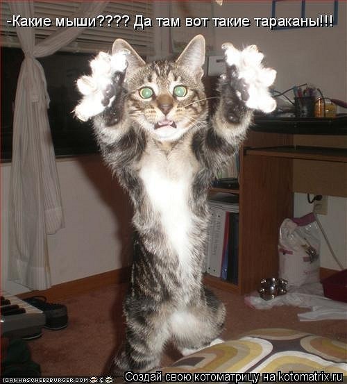 Bania Kaban | Кривой Рог