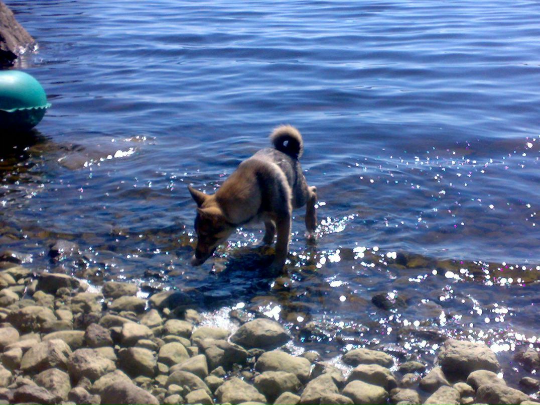 Владимир Смирнов *sladkoed* | Выборг