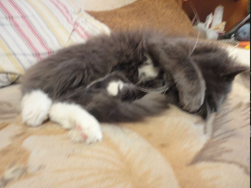 Маша Власова | Москва