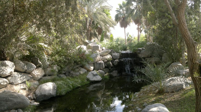 Anna Abramova | Москва