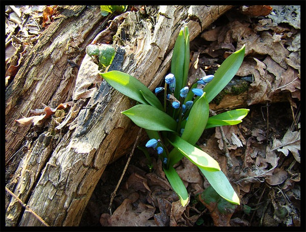 №48, Ирина Данилюк, Йошкар-Ола №48, Ирина Данилюк, Йошкар-Ола