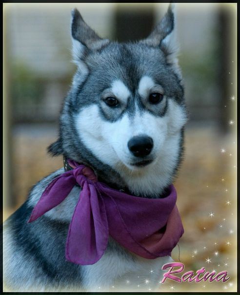 №122, Валерія Білюк, Киев №122, Валерія Білюк, Киев