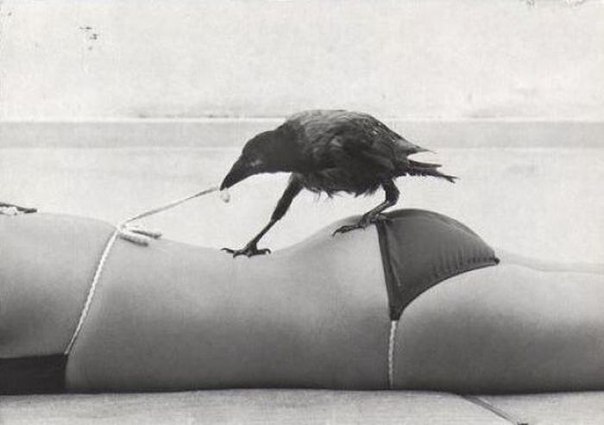 Миланэ Нечаева | 