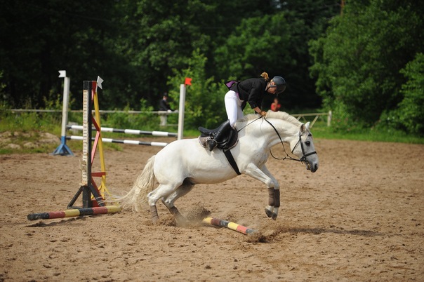 №151, Ирина Федорова, 39 лет, Санкт-Петербург №151, Ирина Федорова, 39 лет, Санкт-Петербург