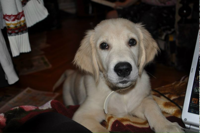 Кристина Пелих .◕‿◕. | Москва