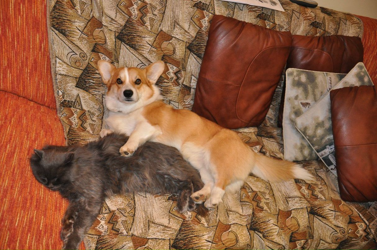 Александр Шлепиков АЙ-ЯЙ | Самара