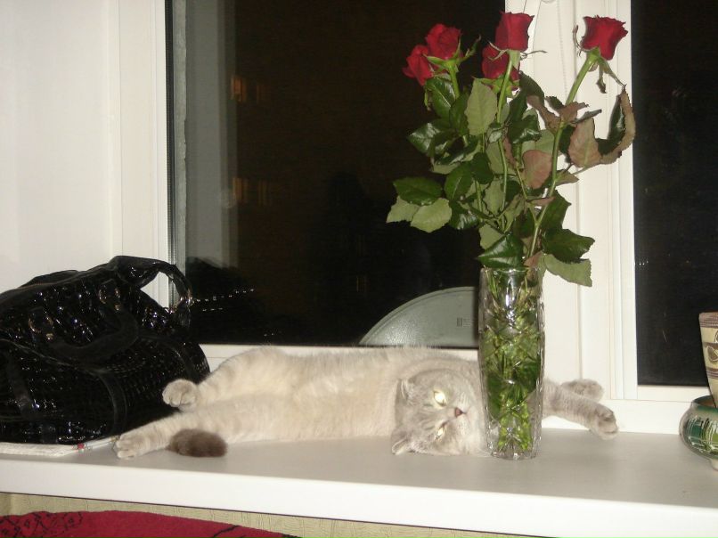 Анна Ревенкова | Минск