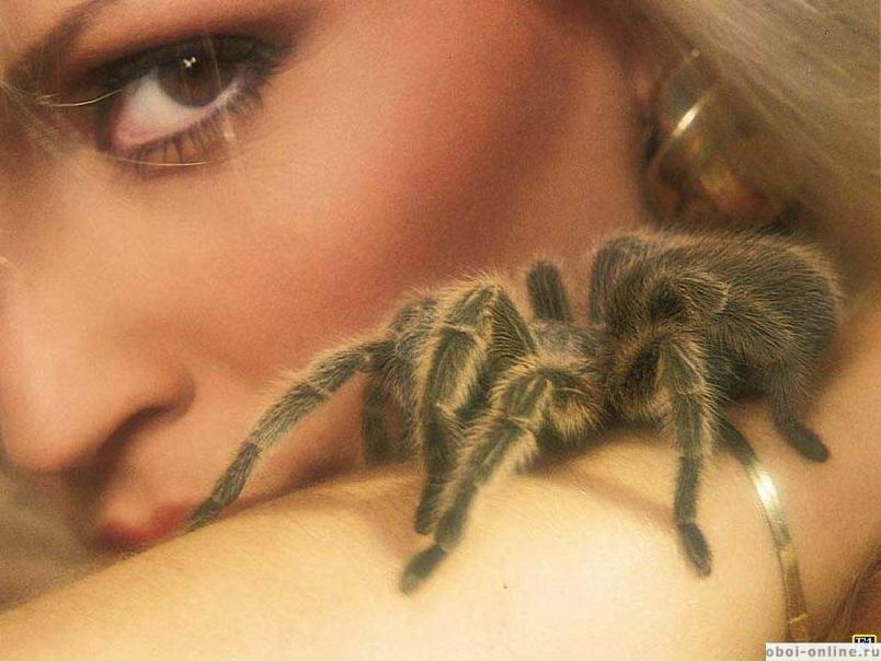 №8, Наташа Иванова, 39 лет, Тверь №8, Наташа Иванова, 39 лет, Тверь