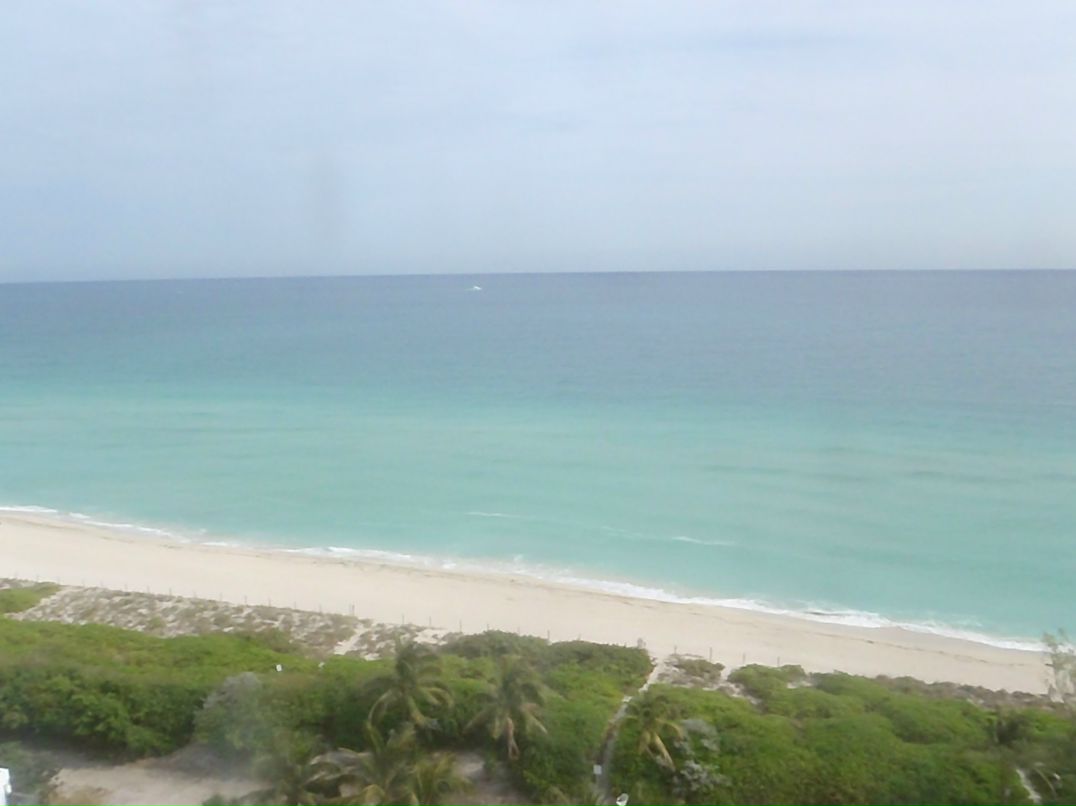 Alina Gibbons | Philadelphia