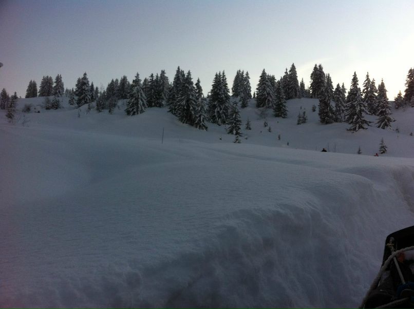 Елена Ломакина | Москва