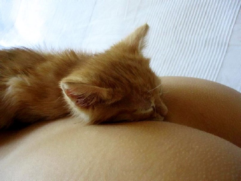 Евгений Кирт | 