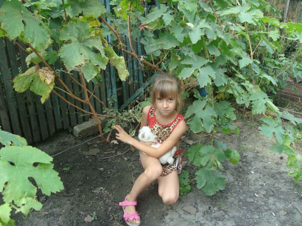 №33, Анастасия Пугачева №33, Анастасия Пугачева