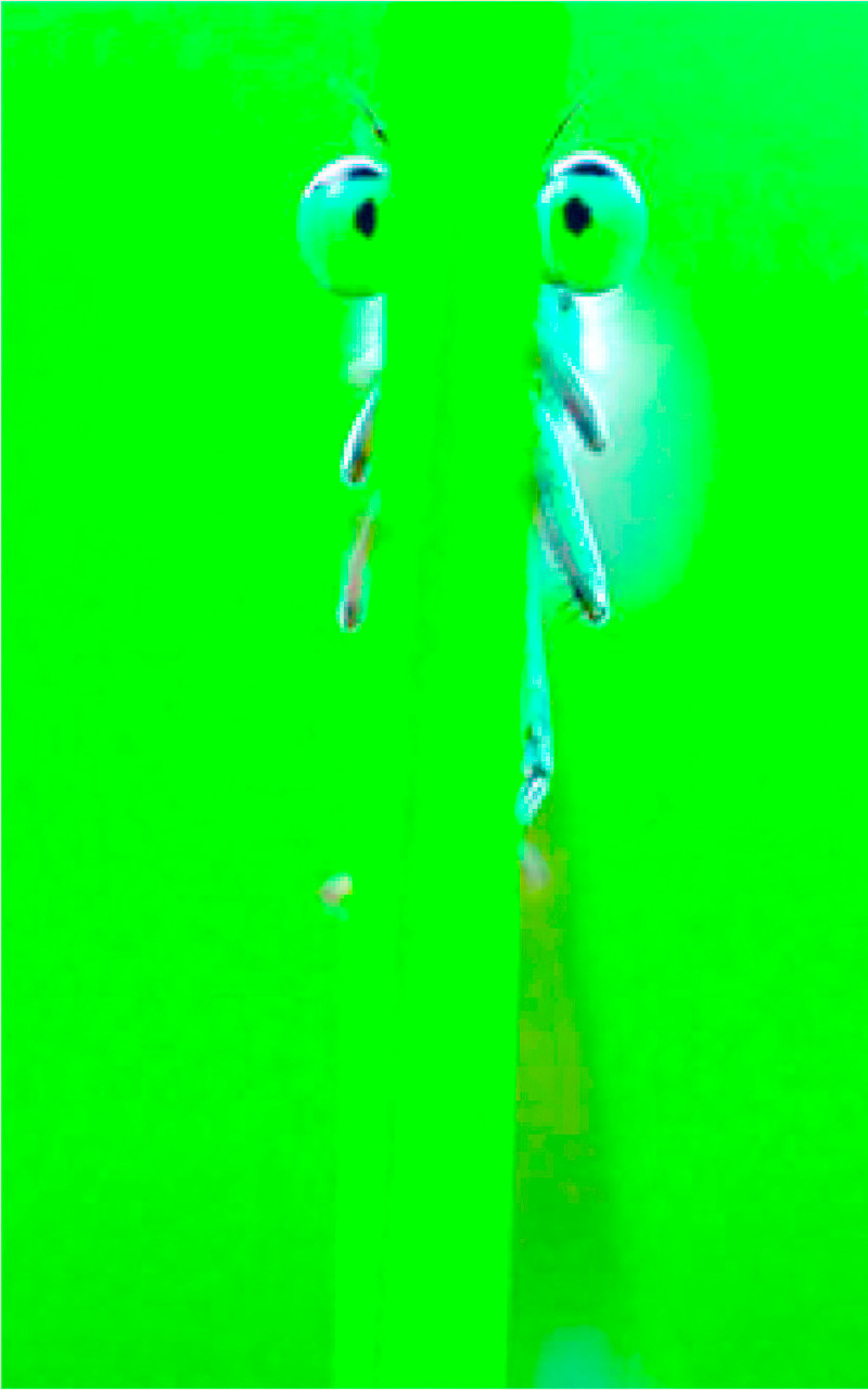 Андрей Шернин | Казань