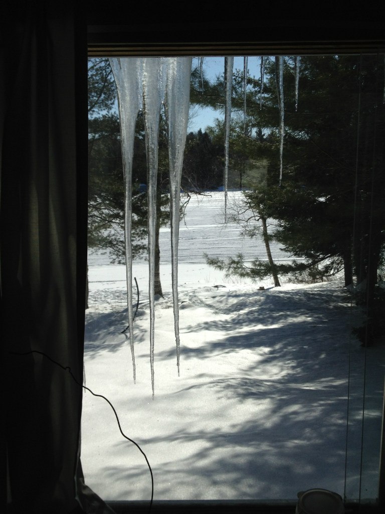 Иришка Малявская | Hamilton