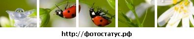 №41 Юлия Васильева : профиль, фото, статус - ВКонтакте