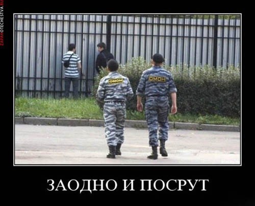 Александр Миненко AL SOLO | Запорожье