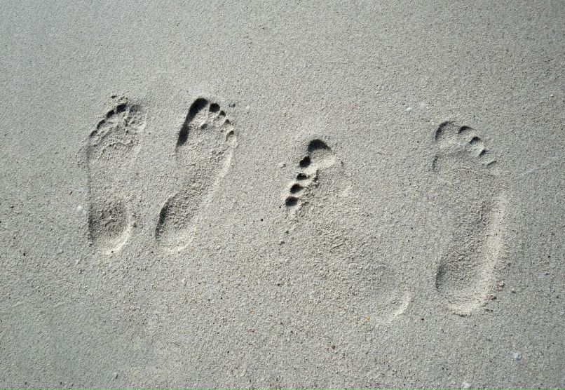 Мария Сорокина | Владимир