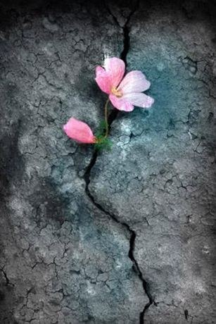 Олеся Снежкова | 