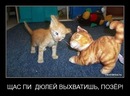 Фотография Бикусовой Анастасии