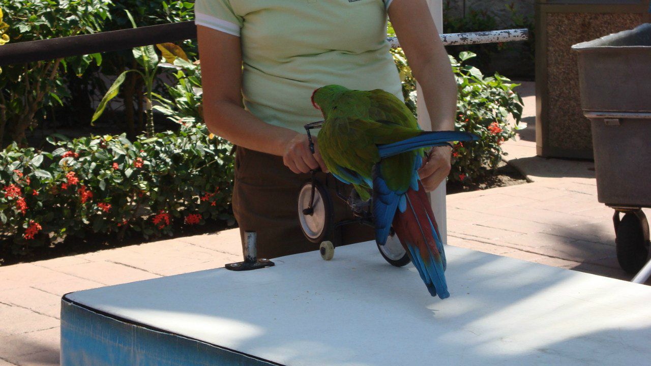 Оля Кублий | Vancouver