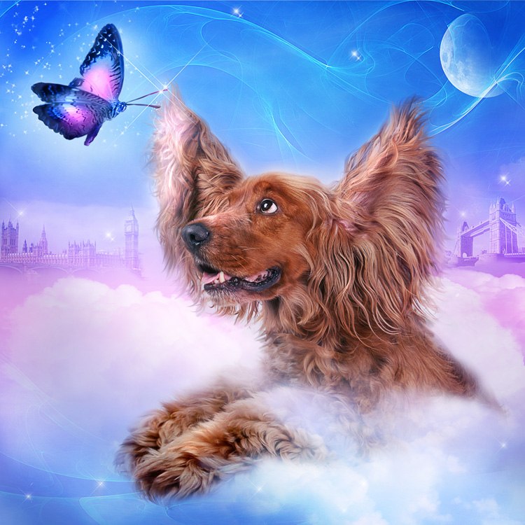 Настена Иванова | Самара