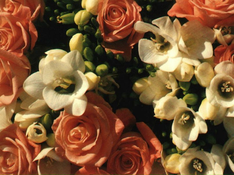 Людмила Дяченко Василевна | Зеньков