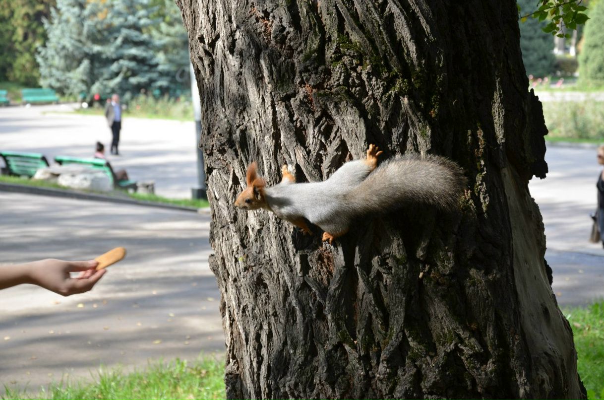 Ульяна Лопанова | Алматы