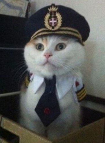 Артем Кутасин | Никополь