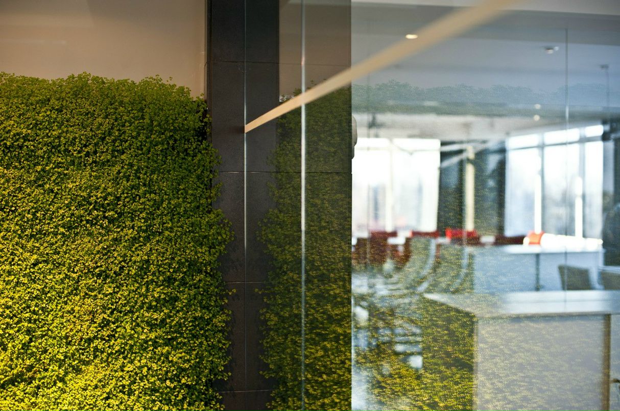 Антонина Капля | Киев