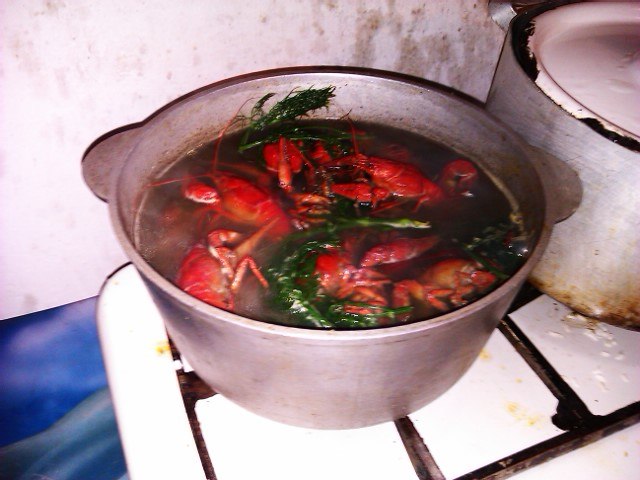 Александр Шенгур 