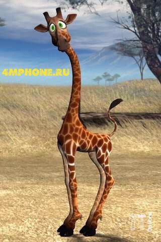 №56, Lidia Ekimova, Санкт-Петербург, Россия №56, Lidia Ekimova, Санкт-Петербург, Россия