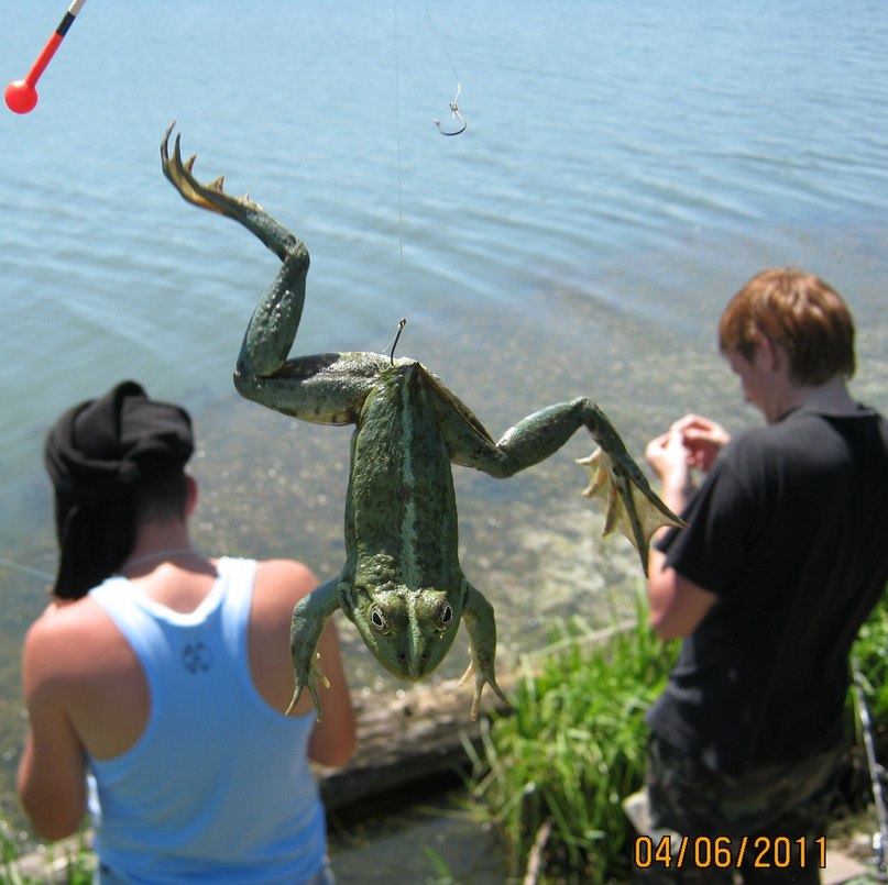 Александр Харченко | Киев