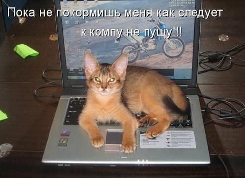 №9, Данил Мартынов, 28 лет №9, Данил Мартынов, 28 лет
