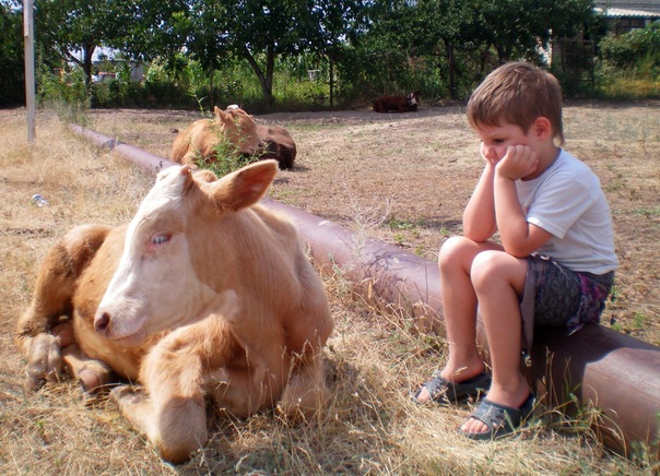 №66, Александр Анчабадзе, 41 год, Волгоград №66, Александр Анчабадзе, 41 год, Волгоград