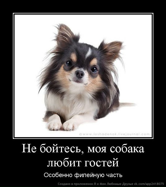 №10, Анна Алексеева №10, Анна Алексеева