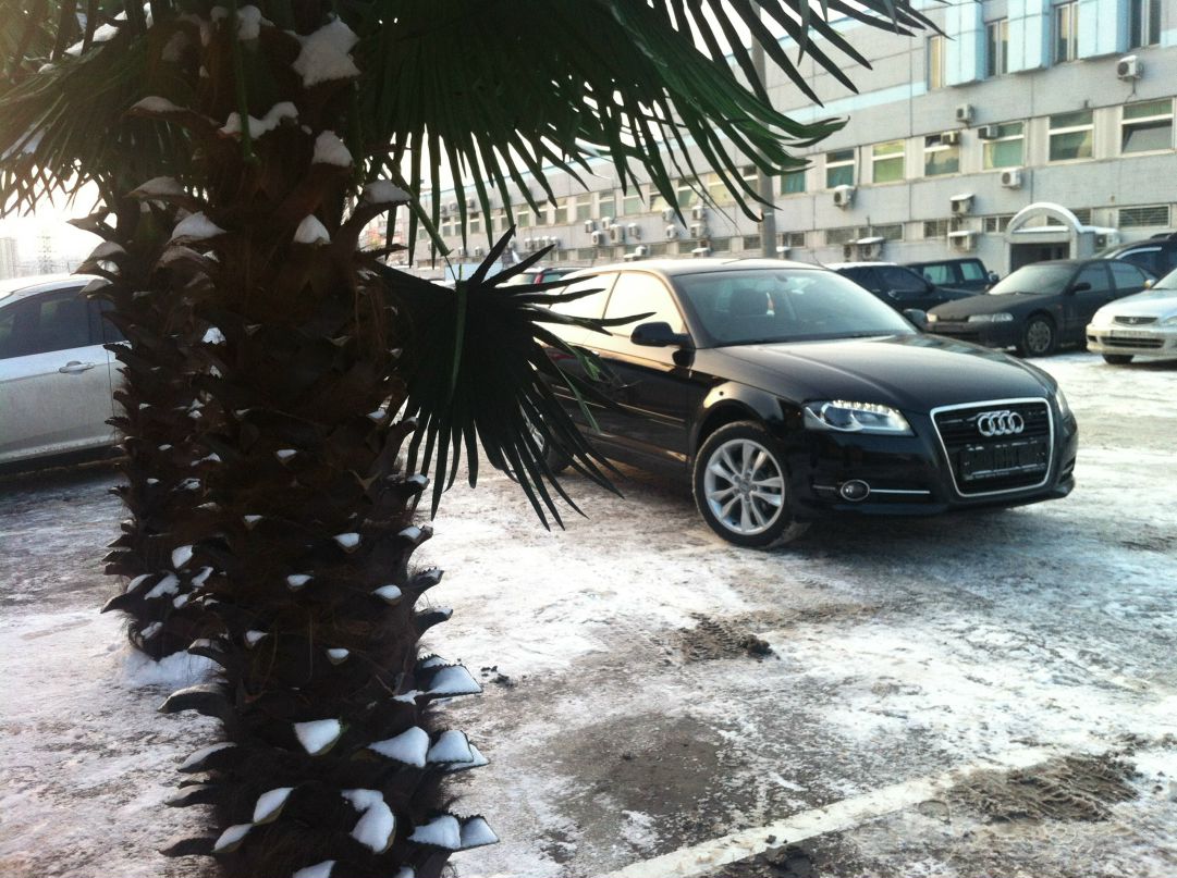 Влад House | Москва