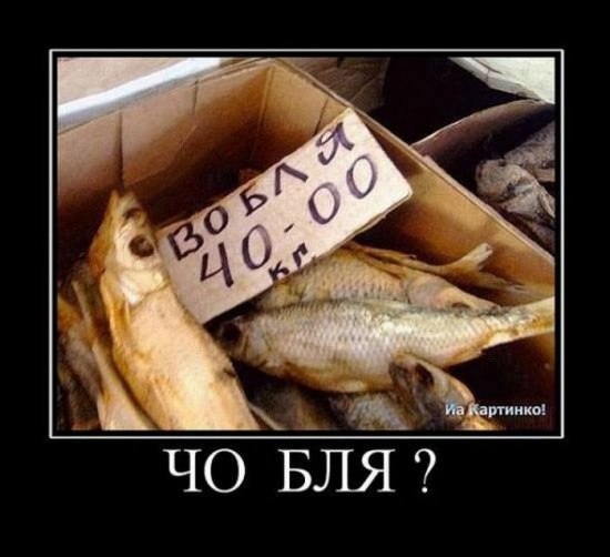 Любовь Швидченко | Челябинск