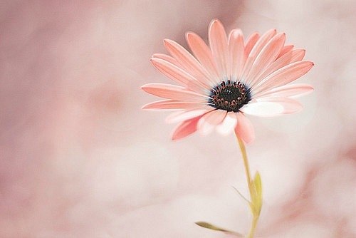 Людмила Фомина | Чернигов