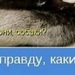 Даша Прыгунова фотография #43